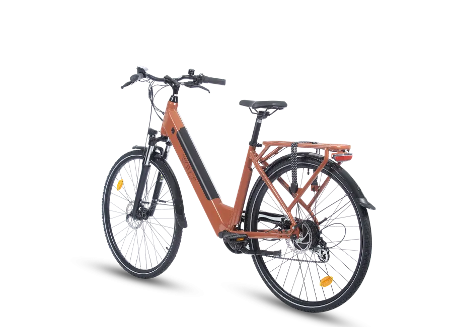 Fréquence E-Bike - Polyvalence, Performance et Confort